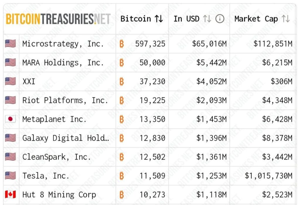 Sabse jyada bitcoin kiske paas hai